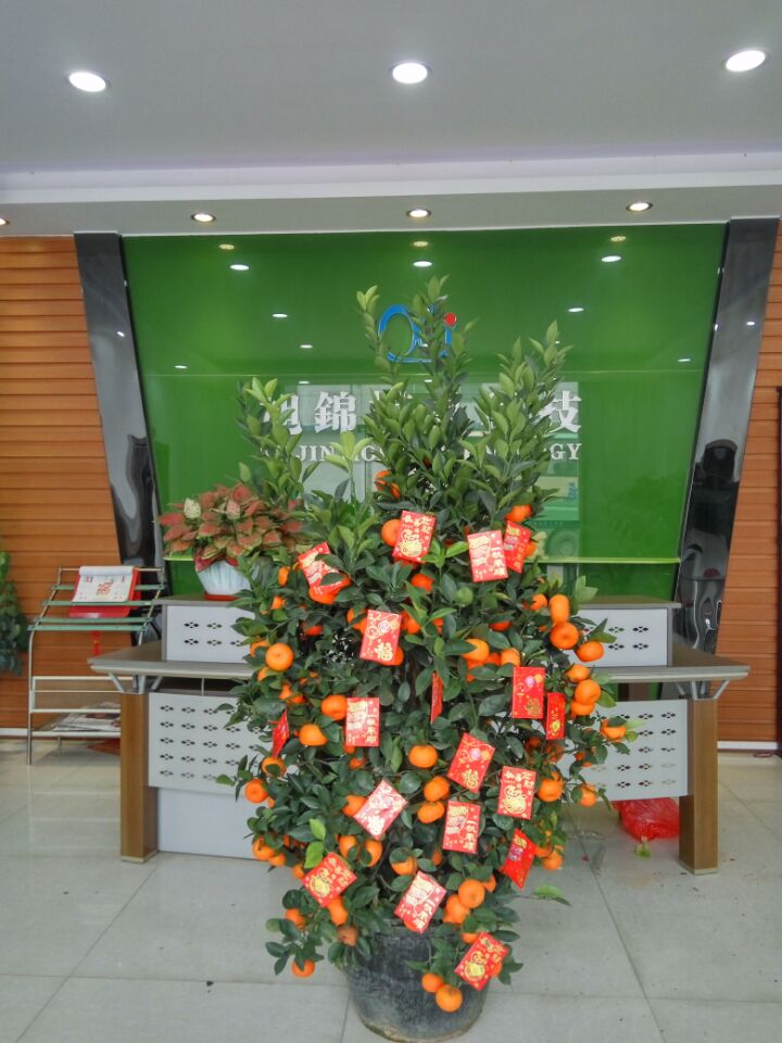旭锦塑胶模具——大吉大利